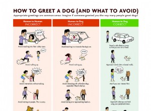 개에게 인사하는 방법