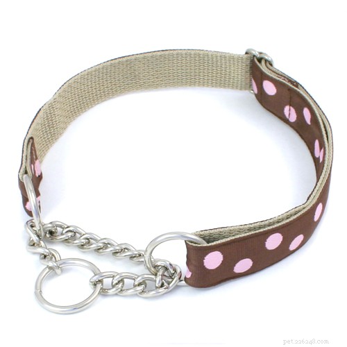 De beste halsband, riem of tuigje kiezen voor uw hond