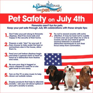 7月4日楽しい花火–ペットの不安と安全のヒント 