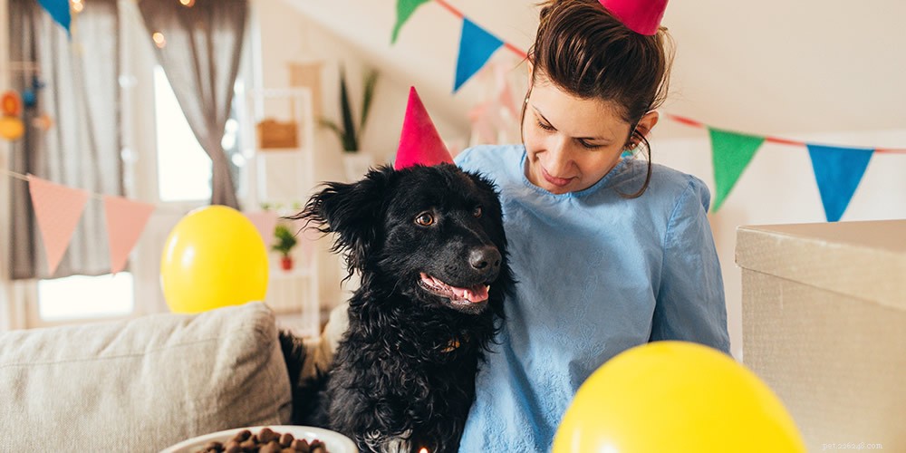 あなたの犬のために誕生日パーティーを開く方法 