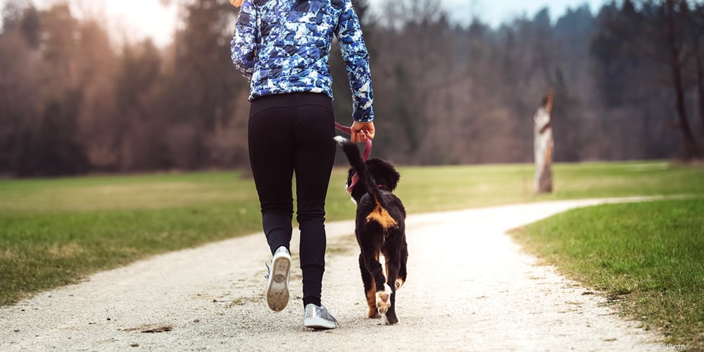 comment encourager un mode de vie actif pour votre chien