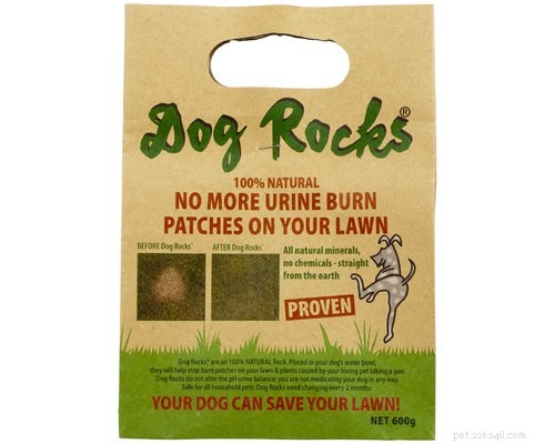 5 manieren om te voorkomen dat hondenurine het gras doodt