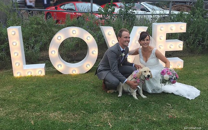 hur du får din hund med på ditt bröllop