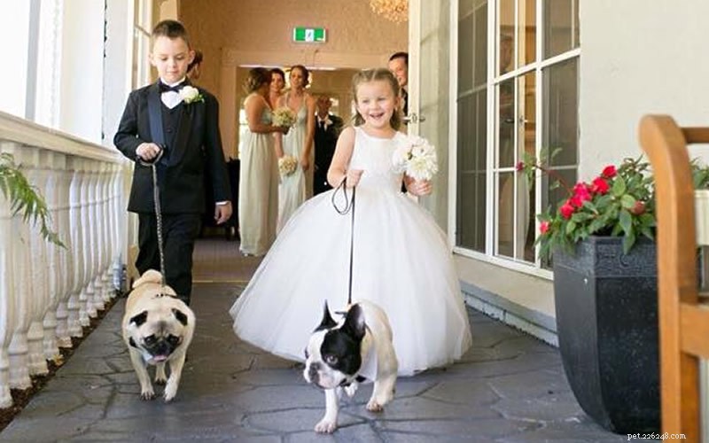 comment faire participer votre chien à votre mariage