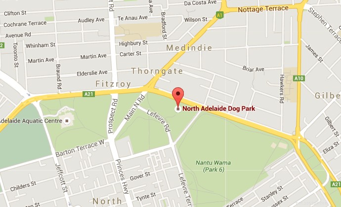 Australiens bästa hundparker utan koppel