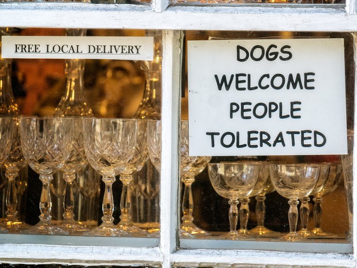 kavárny vhodné pro psy v hlavních městech Austrálie