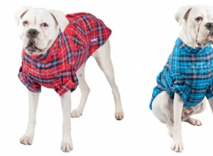 oblečky pro psy – velikost vyzkoušejte v tomto návodu