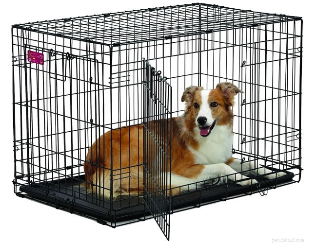 consigli su come addestrare il cane alla gabbia