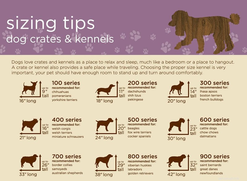 あなたの犬を訓練する木枠に関するアドバイス 