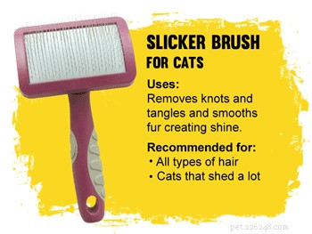 scegliere la spazzola migliore per il tuo gatto