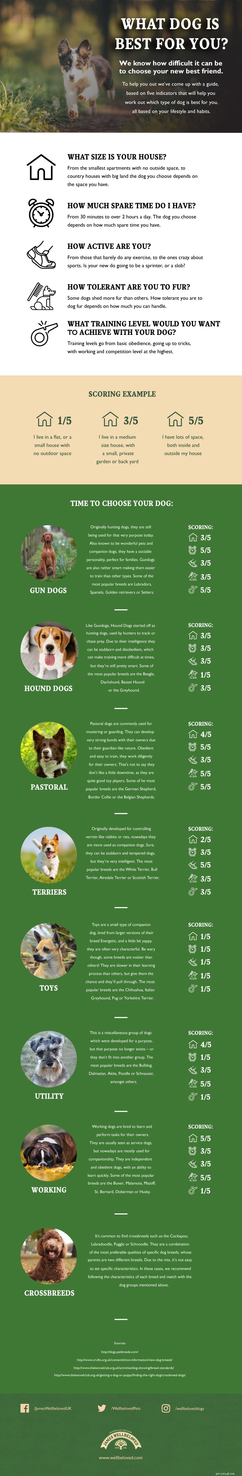 Welke hond moet je nemen - Infographic