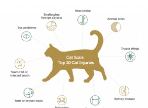 고양이 스캔:고양이 부상 상위 10개