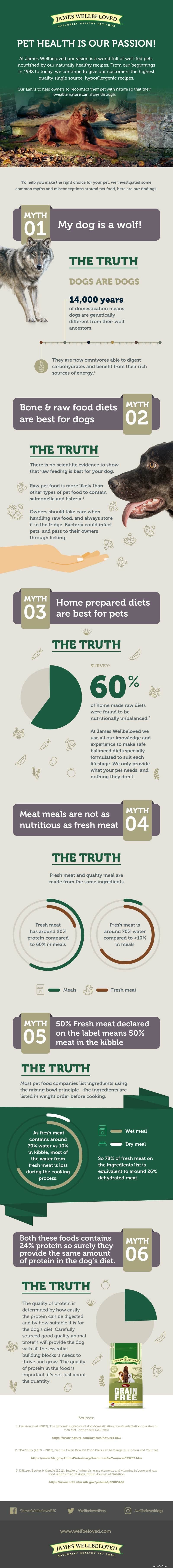 Mitos e verdades sobre a alimentação dos cães