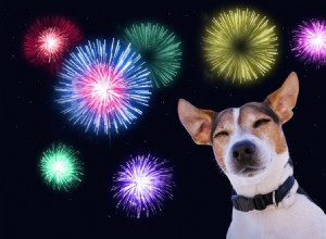 Десять способов помочь собакам и кошкам справиться со стрессом от фейерверков*