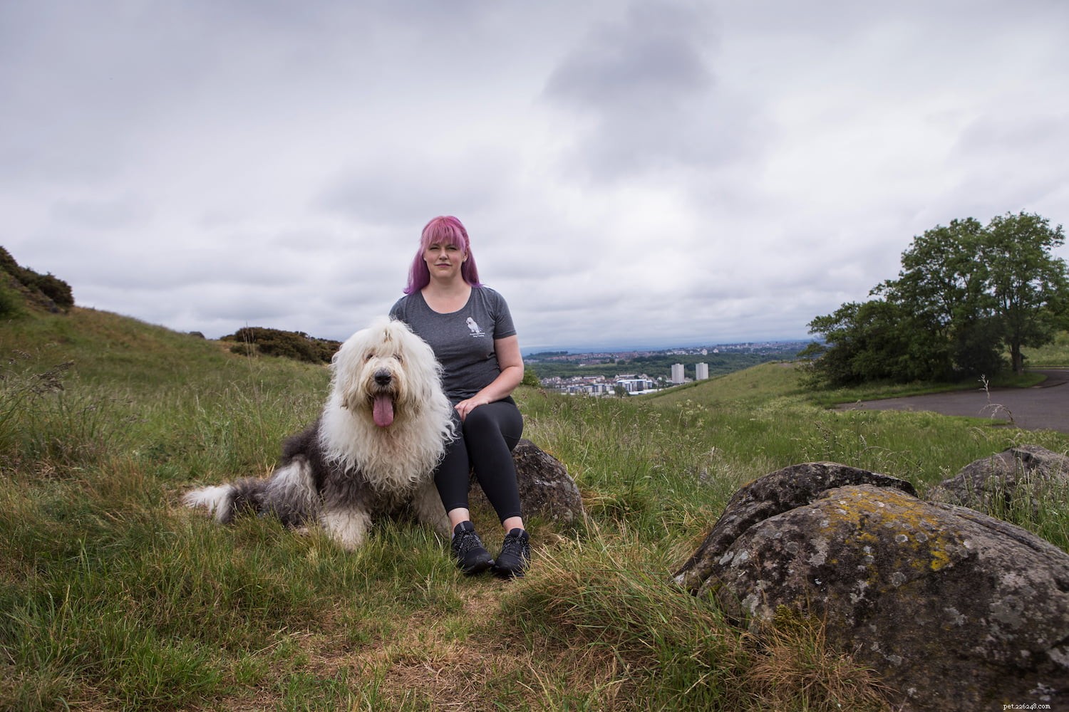 Jak podpořit svého záchranářského psa se Suzanne Gould