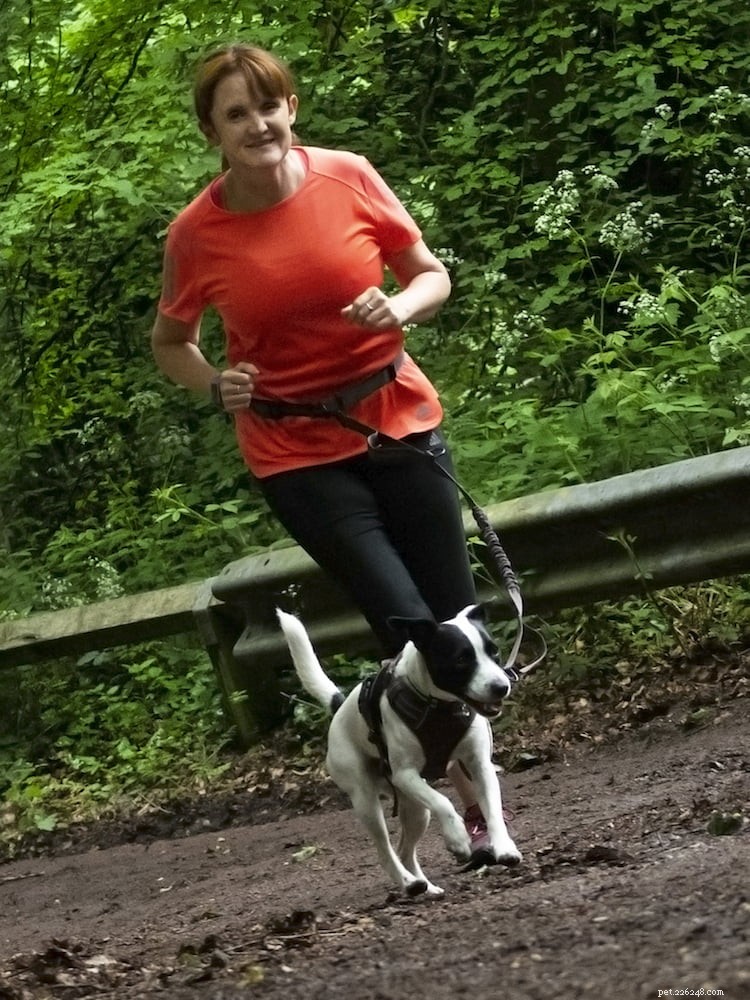 Correre con il tuo cane:i migliori consigli di Dogfit UK 