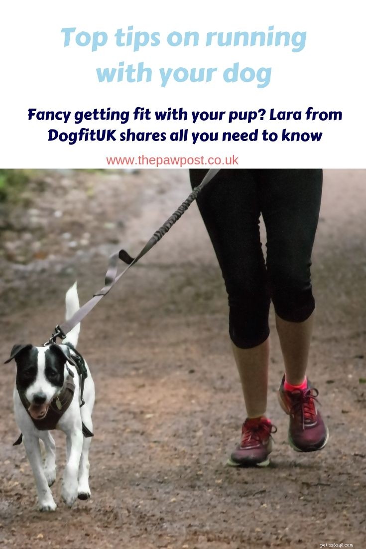 Löpning med din hund – bästa tips från Dogfit UK