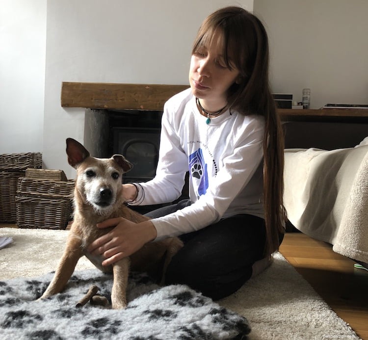Que se passe-t-il lorsque votre chien reçoit un massage canin