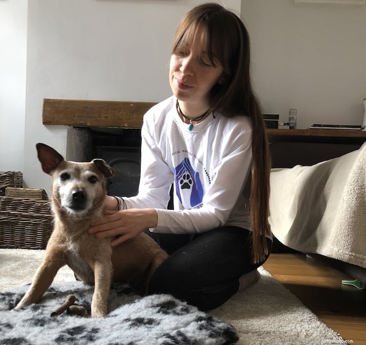 O que acontece quando seu cão recebe uma massagem canina