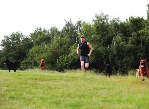 Milo Royds conta como seu amor pela corrida e pelos cães o levou ao emprego dos sonhos!