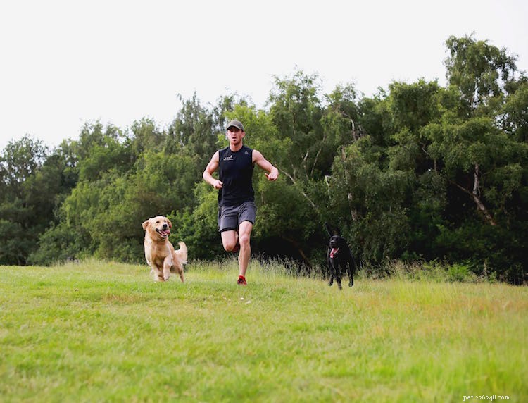 Milo Royds raconte comment son amour de la course et des chiens l a mené au travail de ses rêves !