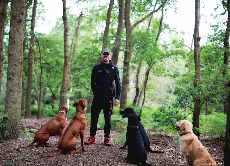 Milo Royds sdílí, jak jeho láska k běhání a psům vedla k jeho vysněné práci!