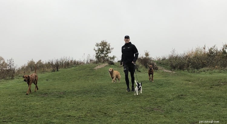Milo Royds berättar hur hans kärlek till löpning och hundar ledde till hans drömjobb!
