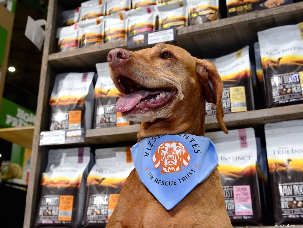 Win een maand lang Natures Menu-voer voor huisdieren voor Nationale Hondendag