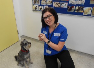 Nos bastidores da Royal Canin Weight Management Clinic