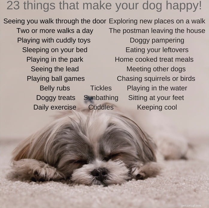 Het geheim van een gelukkige hond delen voor Nationale Hondendag