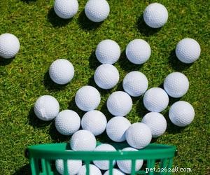 Le palline da golf sono sicure per i cani?