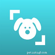 ペットの親、初めての猫と犬の飼い主に最適なアプリ