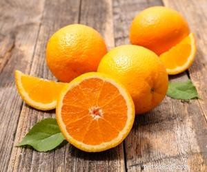 Mohou psi jíst pomeranče?