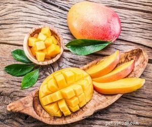 Kunnen honden mango s eten?