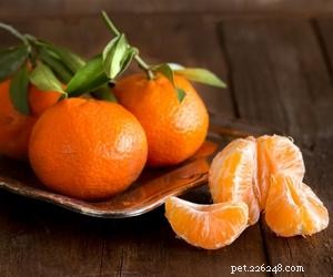 Les chiens peuvent-ils manger des mandarines ?