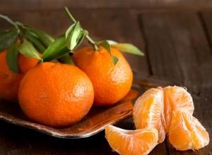 Mohou psi jíst mandarinky?