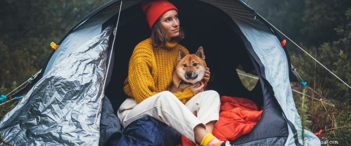 9 dicas para acampar com seu cachorro no centro de Oregon