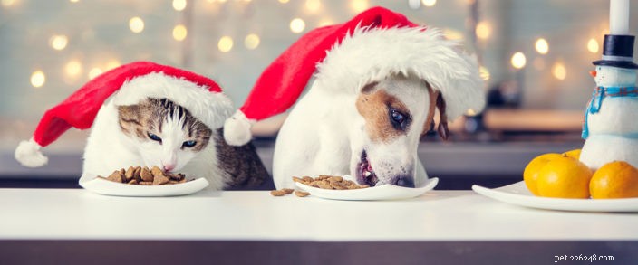 Help uw huisdier deze feestdagenvoeding te vermijden