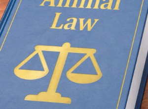 Jaké jsou zákony o vlastnictví zvířat v Oregonu?