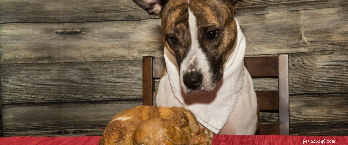 Thanksgiving-diner voor huisdieren
