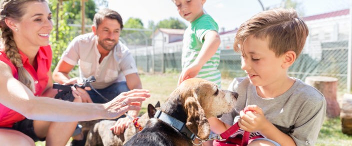 Fyra viktiga tips för att adoptera ett husdjur
