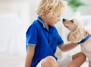 어린이와 애완동물을 안전하게 소개하기 위한 도움말