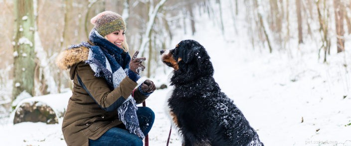 Walk Your Pet Month:4 tips för säker träning utomhus i Bend