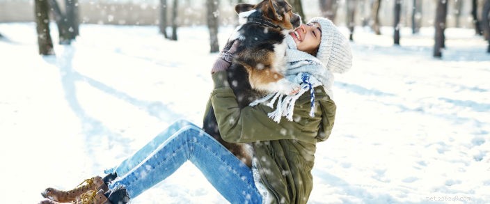 6 dicas de clima frio para seus animais de estimação em Bend