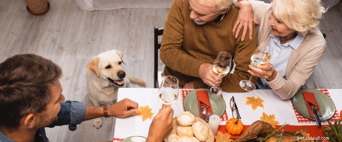 Repas de Thanksgiving faits maison pour vos animaux de compagnie