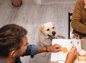 애완동물을 위한 DIY 추수 감사절 식사