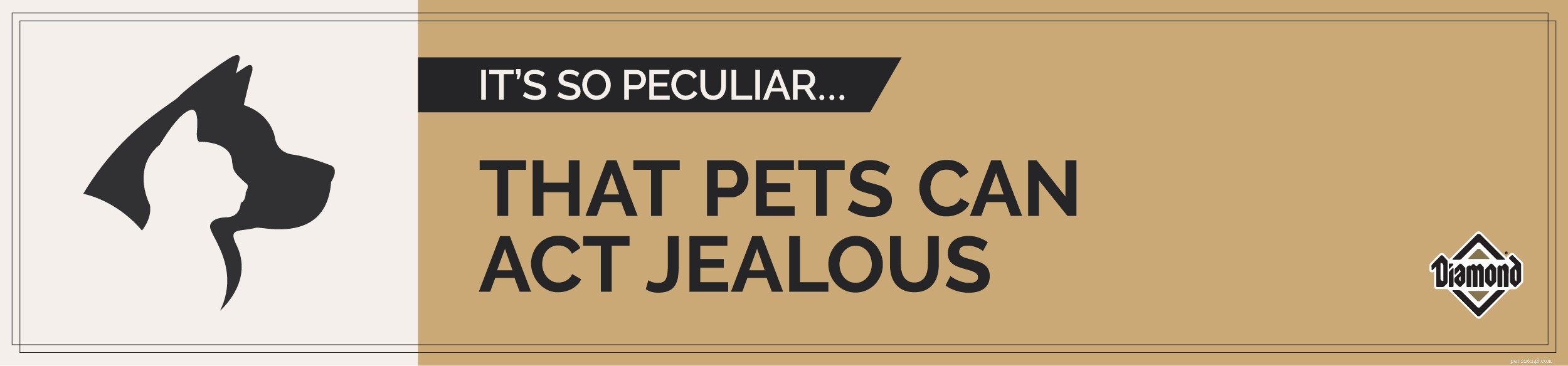 Fatti peculiari sugli animali:gli animali possono essere gelosi