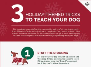 Ensine ao seu cão estes truques com tema natalino