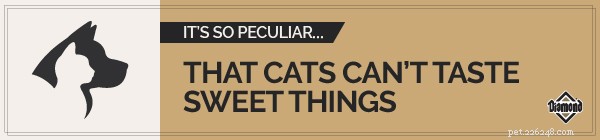 Zvláštní fakta o mazlíčcích:Kočky nemohou ochutnat sladké