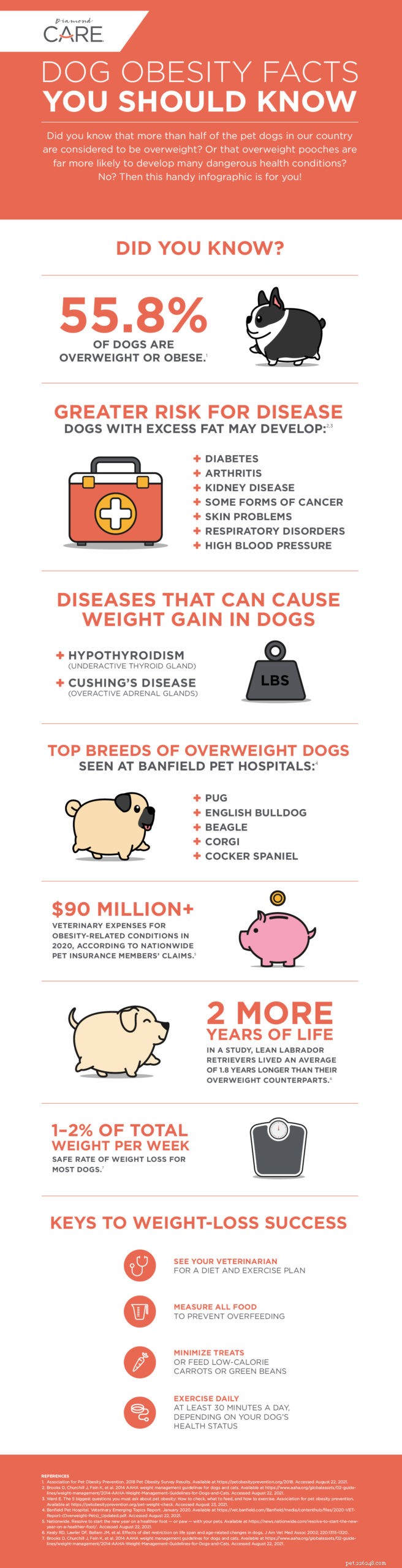Divulgando alguns fatos sobre a obesidade canina